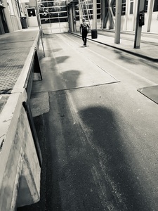 profile_picture